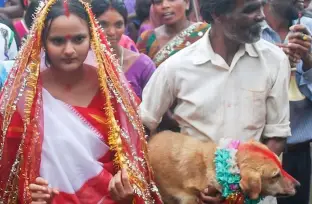dog-husbands-meet-mangli-munda-the-18-year-old-indian-girl-who-married-a-stray-dog-in-a-bizarre-tradition-to-destroy-an-evil-spell-video